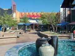mesa-goodlife.com Santan