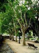 fr.trekearth.com Santarem