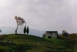 trentobike.org Santinon