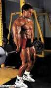 bodybuilding-pics.com Santoriello