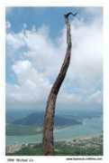 trekearth.com Santubong