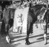 ilpalio.org Santuzza