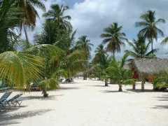 Saona