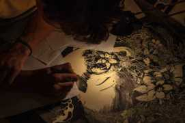 thisiscolossal.com Saowa