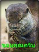 pralanna.com Saqur