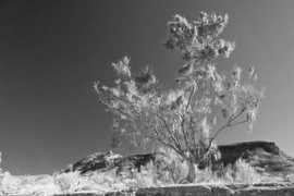 panoramio.com Saracin