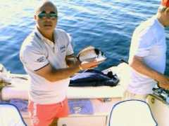 biggame.it Saraghi