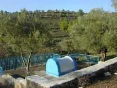 ascentofsafed.com Saragosi
