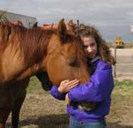 springvalleyfarms.com Sarahgrace