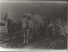 freepages.genealogy.rootsweb.ancestry.com Sarahjane