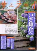 takasei.com Sarais