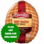 moneysavingmadness.com Saralee