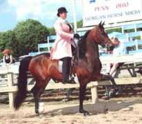 cyanstarmorgans.com Saralin