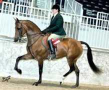 cyanstarmorgans.com Saralin