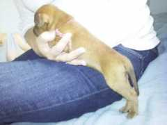 saralita.blogg.no Saralita