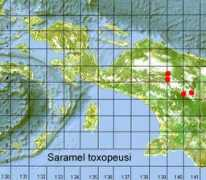 papua-insects.nl Saramel
