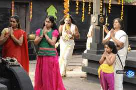 chennai365.com Saranam