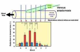biovascularinc.com Saratin