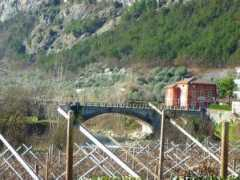 Sarca