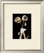 allposters.ca Sardano