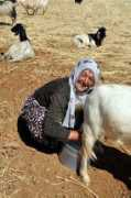 ensonhaber.com Sardim