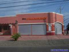 zebrafalls.com Sarenas