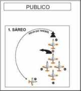 Sareo