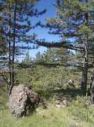 panoramio.com Sargan