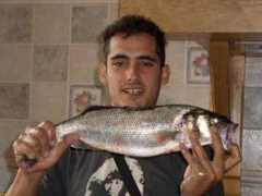 anjupesca.com Sargana