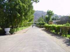 Sargodha