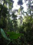 panoramio.com Sariang
