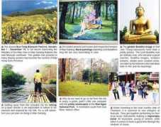 chiangmai-chiangrai.com Sariang