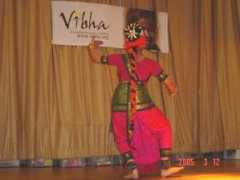 dallas.vibha.org Sarise