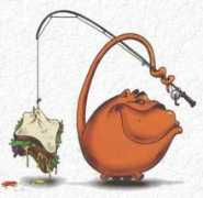 funkymunky.co.za Sarmie