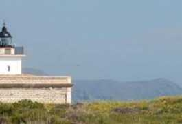 oci.diaridegirona.cat Sarnella