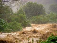 boqueteweather.com Sarner