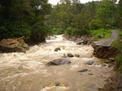 boqueteweather.com Sarner