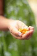 lovefoodeat.com Saroli