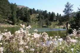 pazar53.com Saronay