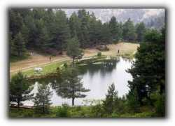 alicliyim.tr.gg Saronay