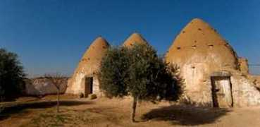 Sarouj