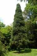 panoramio.com Sarvari