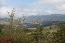 Sashik