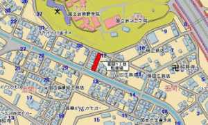 Sashima