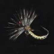 tenkara.sakura.ne.jp Sasui