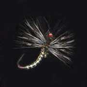 tenkara.sakura.ne.jp Sasui