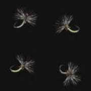tenkara.sakura.ne.jp Sasui