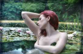 marion-adam.magix.net Sataria