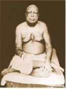 toshani.com Satata