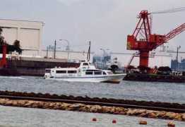 wakanatsu.com Sathern